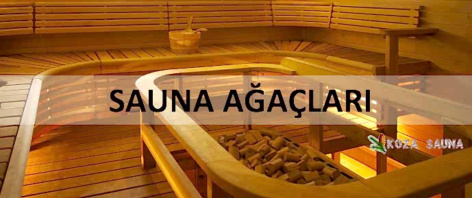 sauna-agaclari